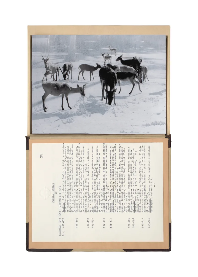 The Gift Ecology (A Diplomatic Visit to Mysore, India)