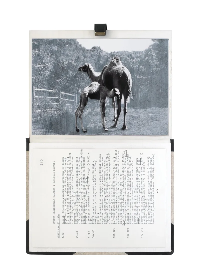 The Gift Ecology (A State Visit by President Sukarno of Indonesia and First Lady Hartini)