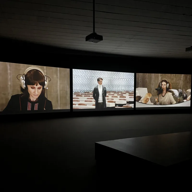 Installation view, exhibition Stagecraft – Une mise en scène du pouvoir (solo), curated by  Matthieu Lelièvre, macLYON, 2021