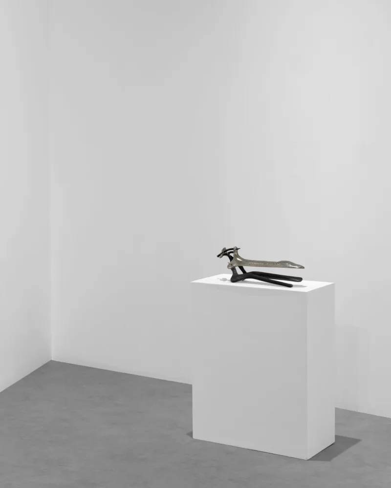 Installation view: exhibition The Gift Ecology (solo), curated by Viviana Checchia, Void Art Centre, Derry, 2025