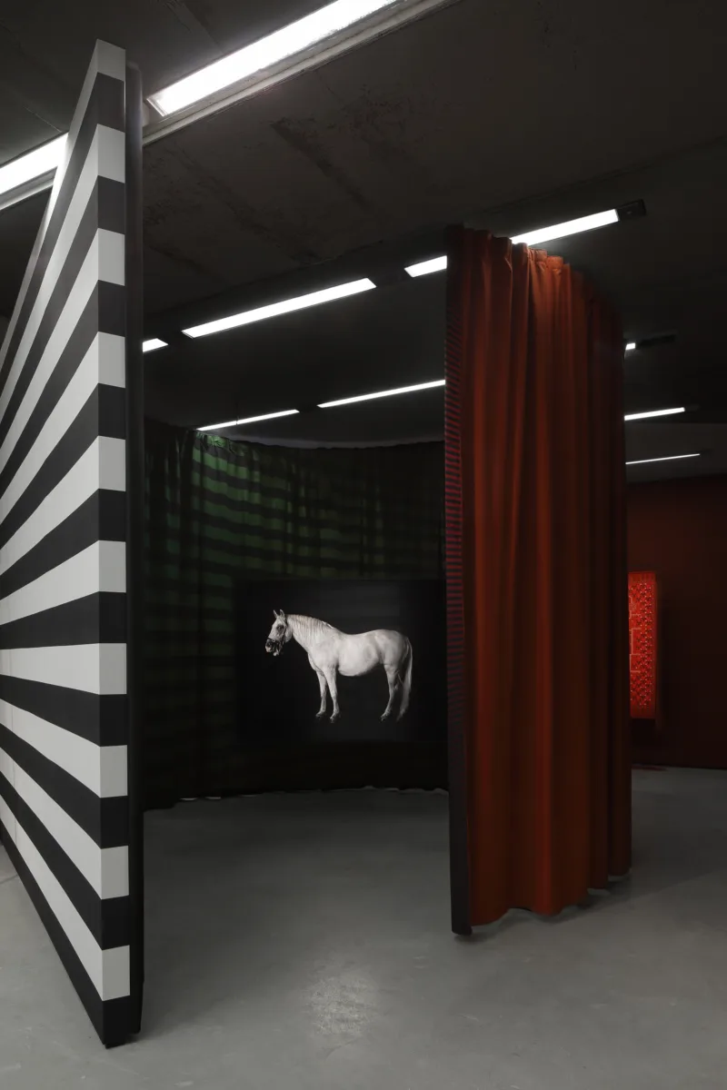 Installation view, exhibition Most Favoured Nation (solo), curated by Marijana Schneider, Museum der Moderne Salzburg, 2022, photo: Rainer Iglar