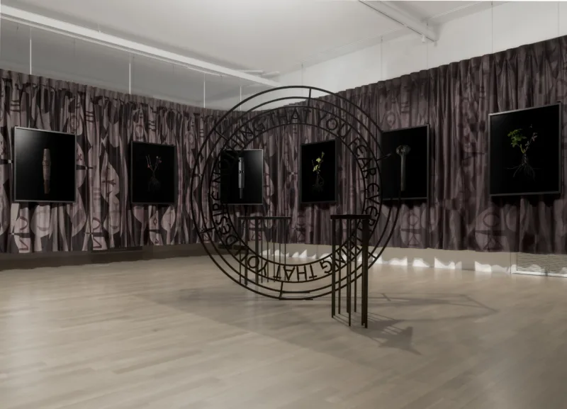 Installation view, exhibition The Foundation of Endeavour (solo), curated by Igor Španjol, Museum of Contemporary Art Metelkova, Ljubljana, 2020, photo: Matevž Paternoster